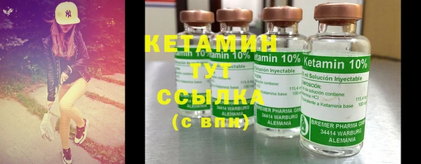 шишки Беломорск