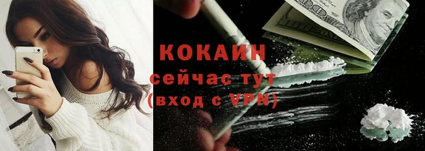шишки Беломорск