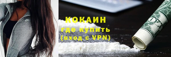 шишки Беломорск