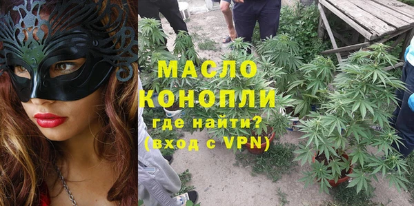 шишки Беломорск