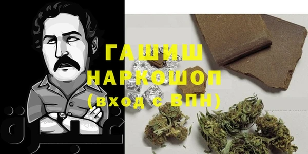 шишки Беломорск