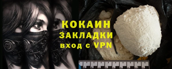 шишки Беломорск